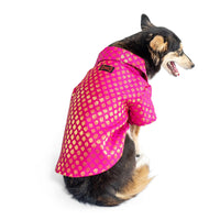 Pawgy Pets Occassion Wear Dog Shirt Pink