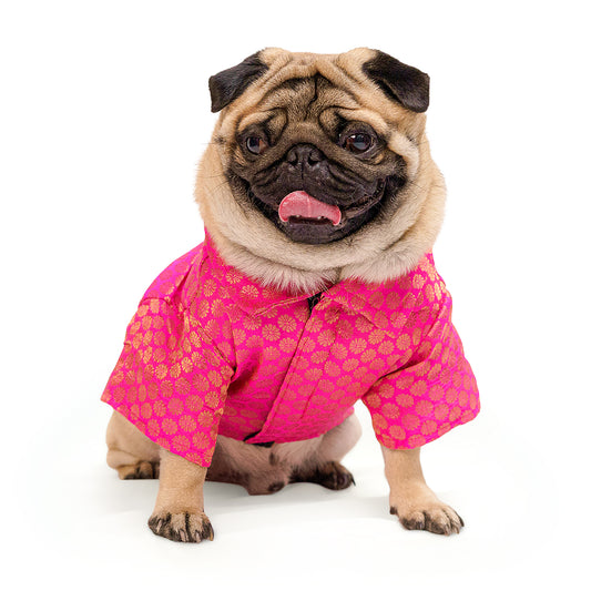 Pawgy Pets Occassion Wear Dog Shirt Pink