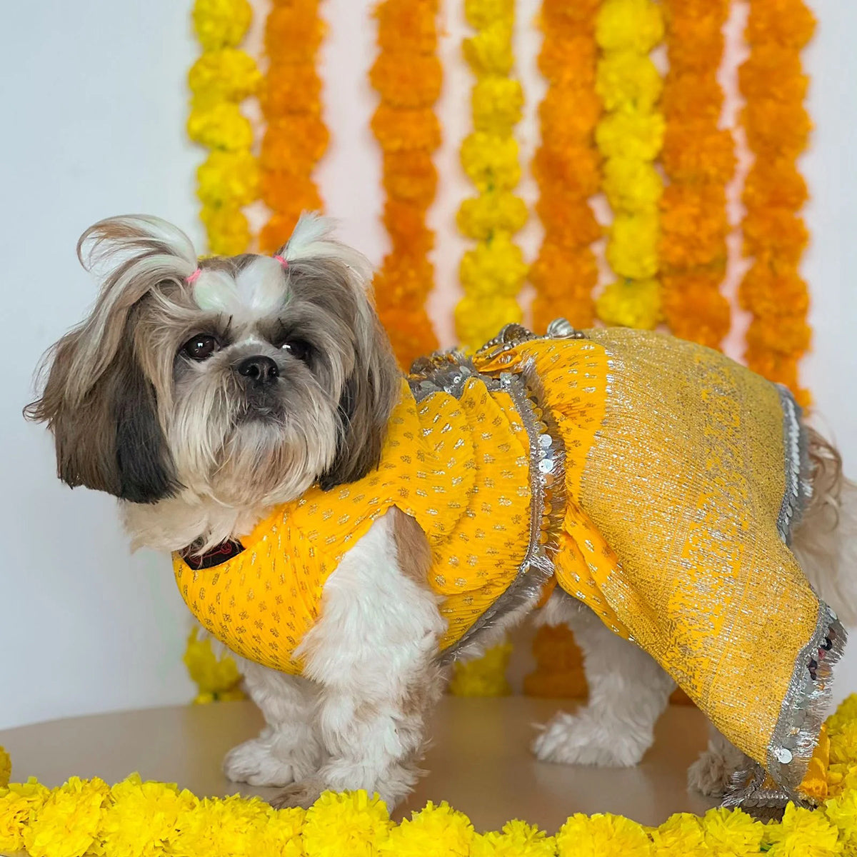 Pawgy Pets Yellow Dog Lehenga