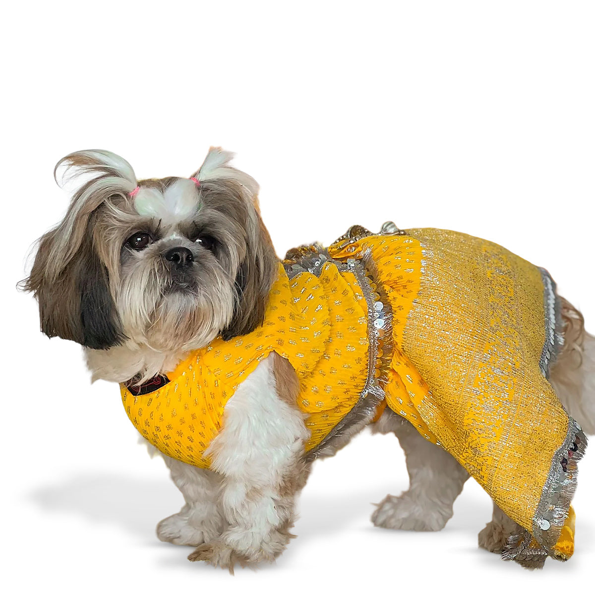 Pawgy Pets Yellow Dog Lehenga