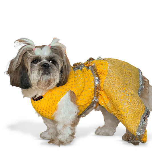 Pawgy Pets Yellow Dog Lehenga