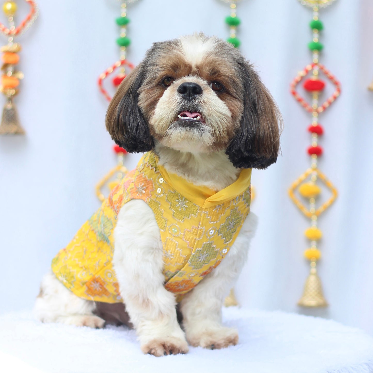 Pawgy Pets Festive Patola Dog Kurta Yellow