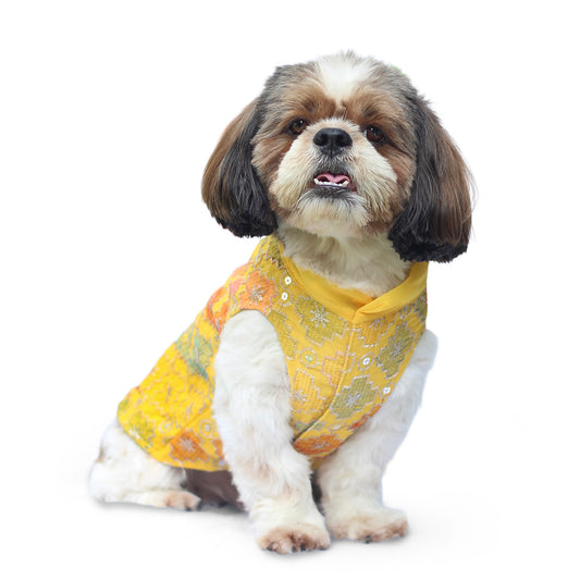 Pawgy Pets Festive Patola Dog Kurta Yellow