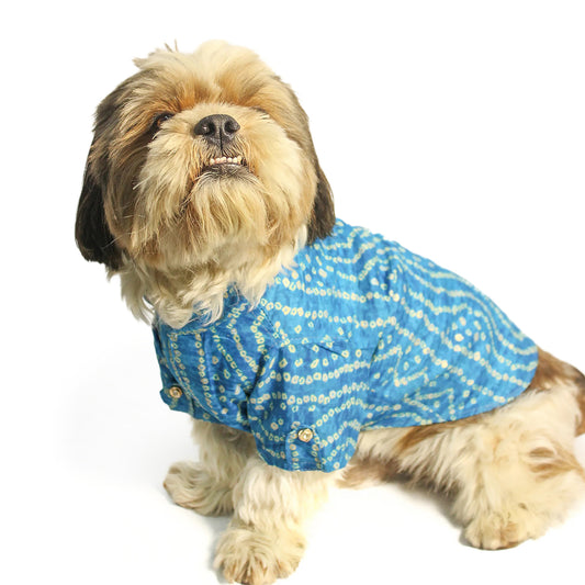 Pawgy Pets Blue Bandani Dog Kurta