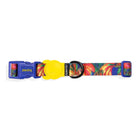 ZeeDog colorful Farm Rio dog collar with blue buckle and yellow zigly tag