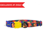 FARM Rio x Zee Dog Samba Dog Collar