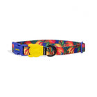 FARM Rio x Zee Dog Samba Dog Collar