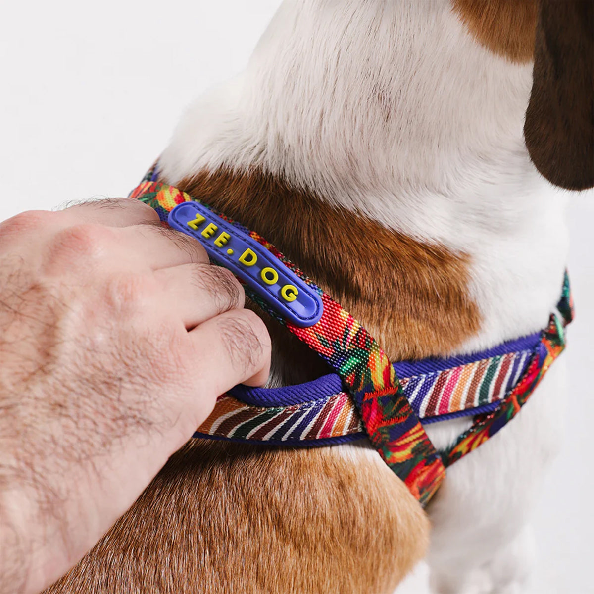 FARM Rio x Zee Dog Samba Softer-Walk Harness