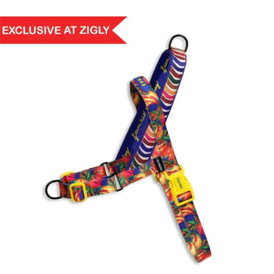 Colorful floral patterned dog harness with yellow buckle, exclusive at Zigly