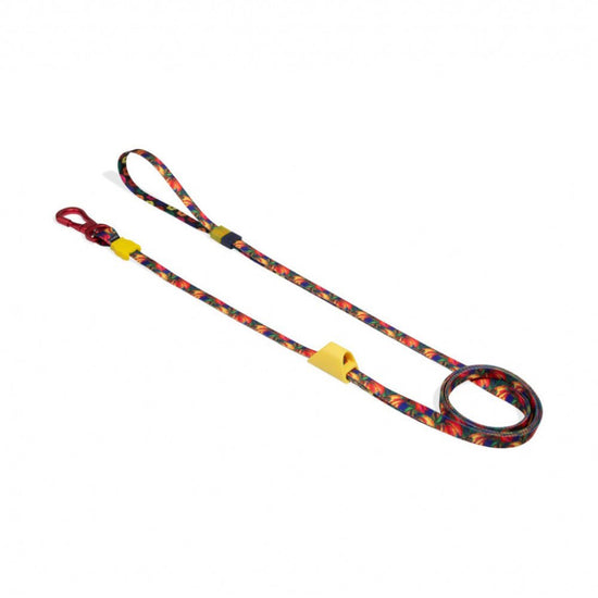 FARM Rio x Zee Dog Samba Long Dog Leash
