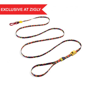 Colorful dog leash with floral pattern and yellow accents, exclusive at Zigly