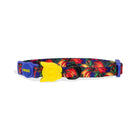 FARM Rio x Zee Cat Samba Cat Collar