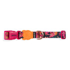 Zee.dog floral pattern dog collar with pink buckle and orange zigly tag
