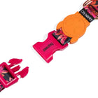 Zee.dog colorful dog collar with pink buckle and orange zigly fastener on white background