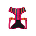 Zigly colorful striped dog harness with pink straps and orange Zee.dog buckles