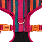 zigly multicolor striped dog harness with pink straps, orange zee.dog buckles, and metal D-ring