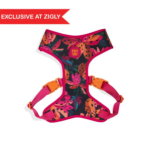Zigly exclusive colorful floral dog harness with pink and orange straps and buckles