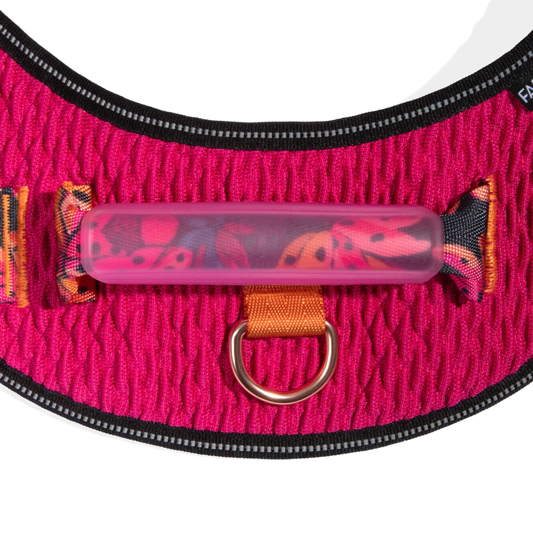 FARM Rio x Zee Dog Selva Flyharness