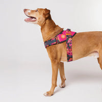 FARM Rio x Zee Dog Selva Flyharness