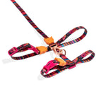 Zigly colorful striped pet harness and leash set with pink buckles and orange cat-shaped clips