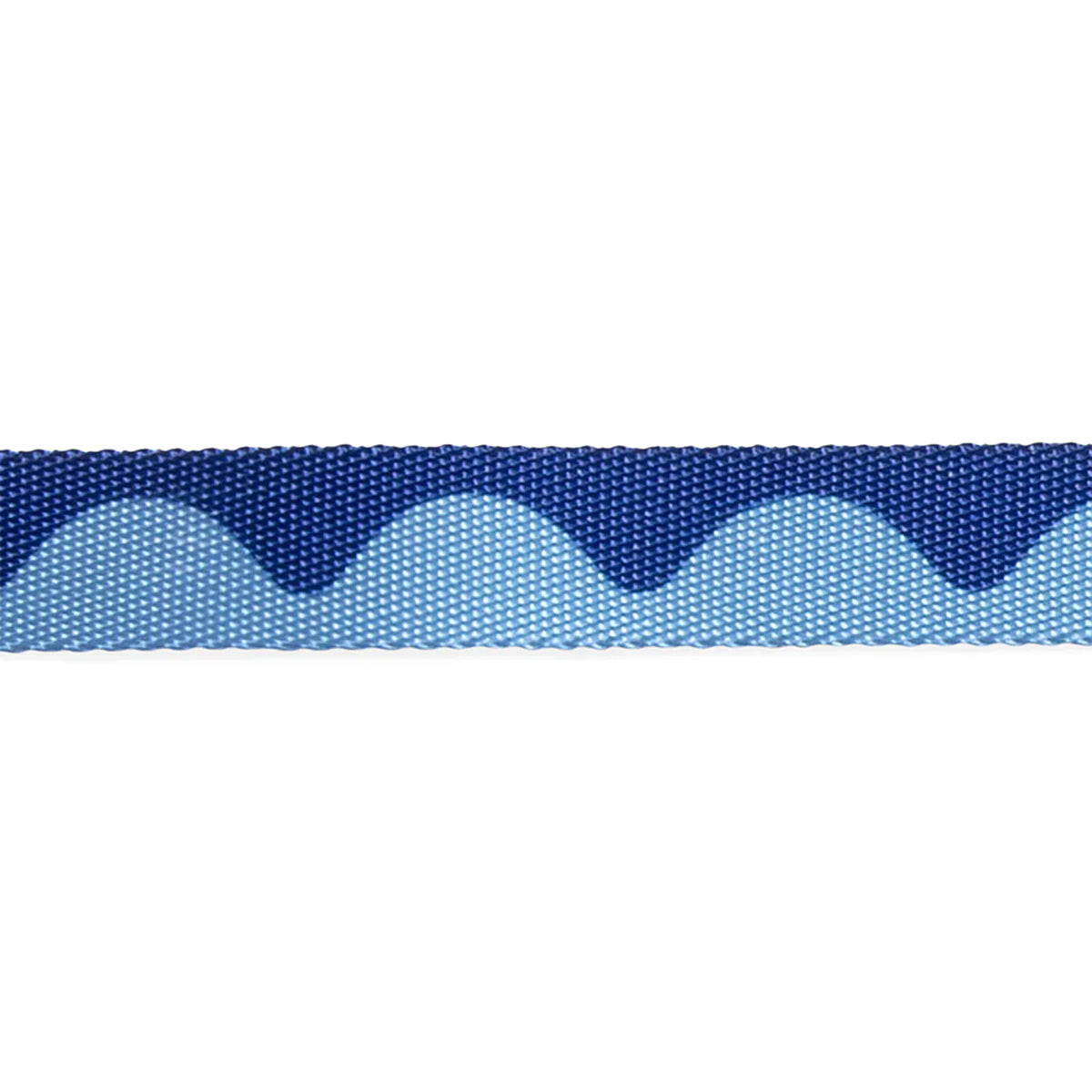 FARM Rio x Zee Cat Swell Cat Collar