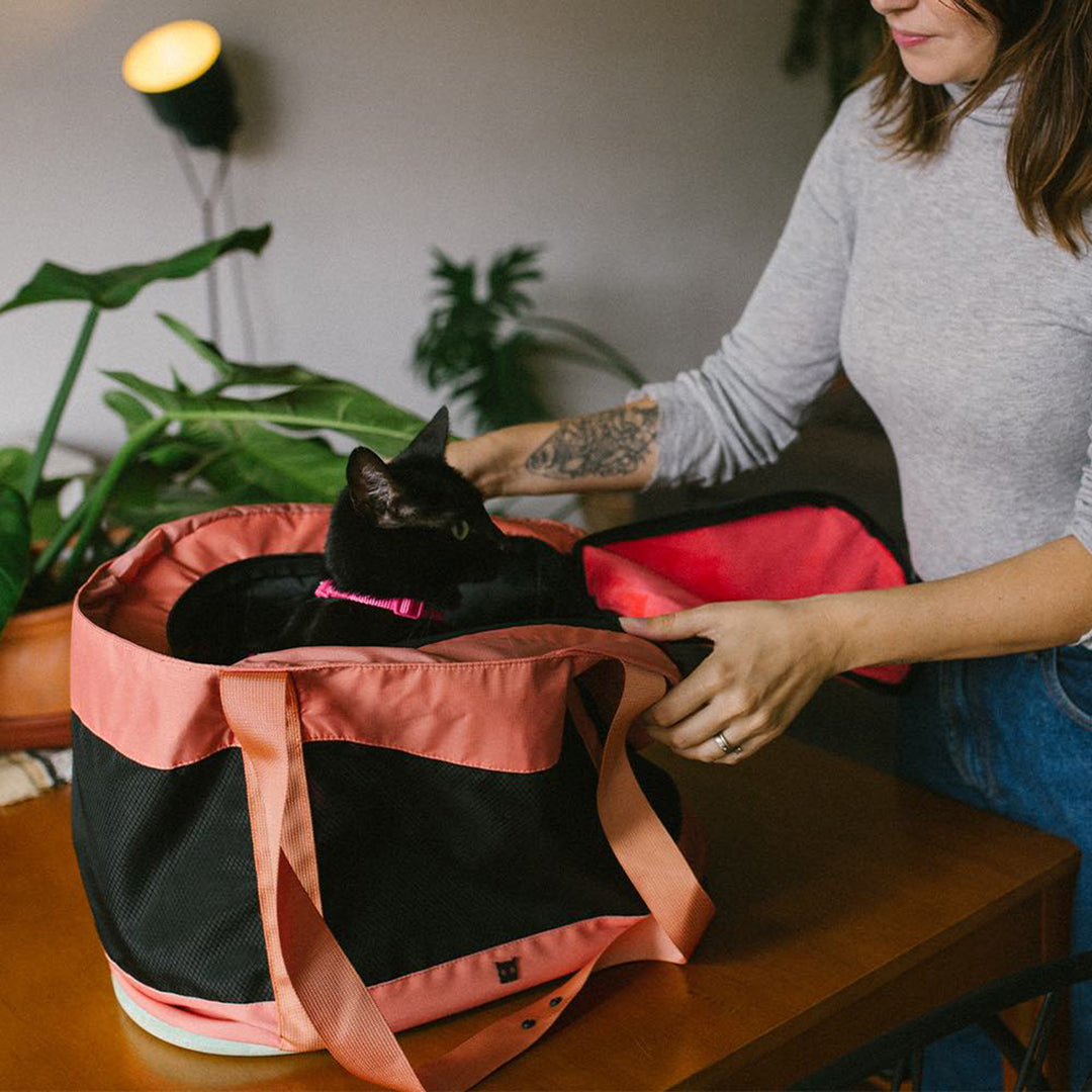 Zee Cat Cat Carrier Terracotta