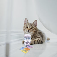 FOFOS Dreamland Coffee Catnip Cat Toy