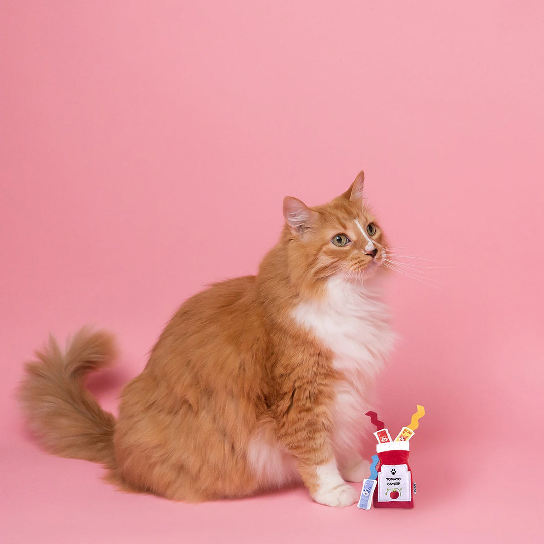 FOFOS Dreamland Tomacoes Catnip Cat Toy