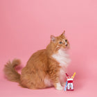 FOFOS Dreamland Tomatoes Catnip Cat Toy
