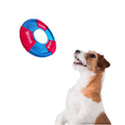 Jack Russell dog looking at blue and red circular dog toy by ZIGLY on white background