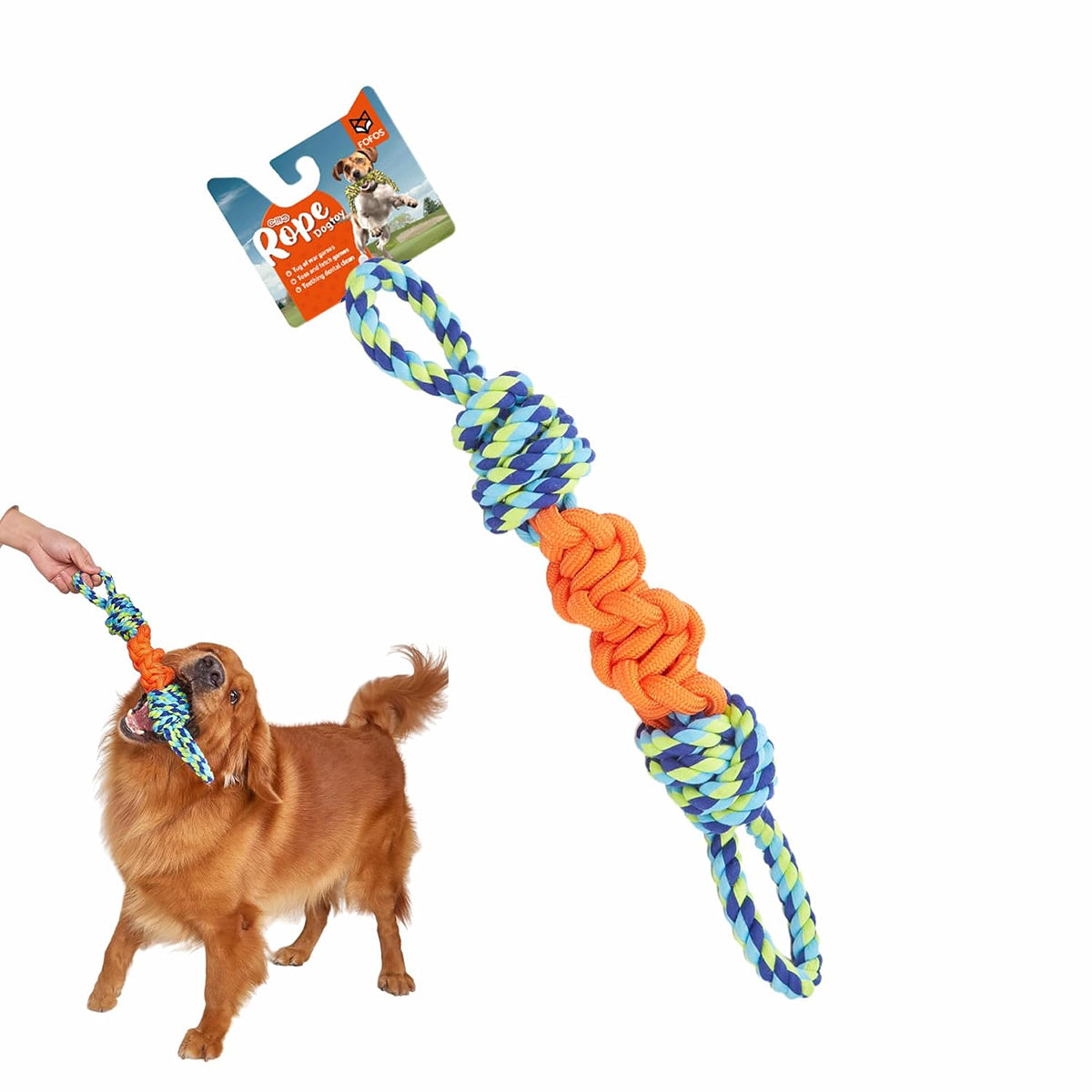Zigly dog rope toy in blue and orange being chewed by happy brown dog in play tug setting