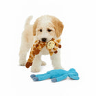 Zigly puppy holding a giraffe plush toy with a blue plush toy on the white floor