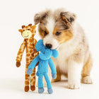 Zigly Australian Shepherd puppy playing with blue elephant and giraffe plush dog toys