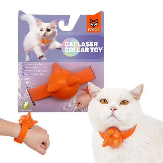 Zigly FOFOs cat laser collar toy in orange on white cat and wrist, interactive wearable adjustable