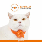 White cat wearing orange cat collar for self play by Fofos with zigly design