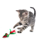Zigly tabby kitten playing with red and green feathered toy on white background
