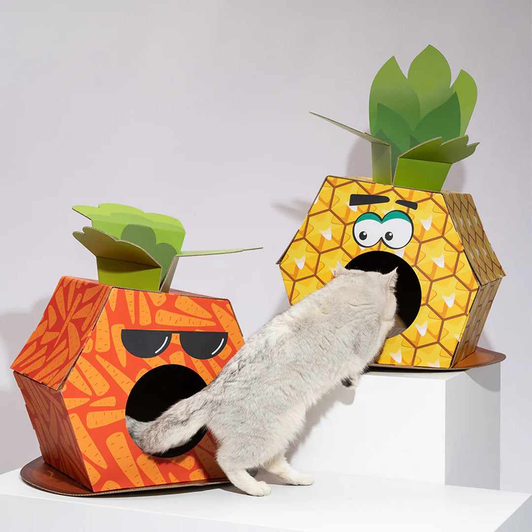 FOFOS Cardboard Cat House With Scratching Pad - Carrot