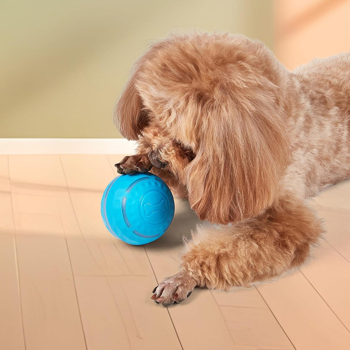 FOFOS Rolling Ball Dog Toy