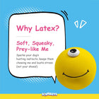 Yellow smiley squeaky dog toy on blue background with text Why Latex? soft squeaky prey-like me zigly