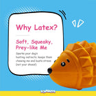 Zigly orange latex dog toy shaped like a hedgehog on blue background with soft squeaky features text