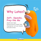 Zigly orange and blue soft squeaky dog toy with big eyes promoting latex benefits for chewing and stress relief