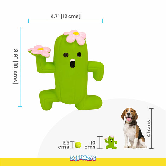 Squeeezys Latex Cactus Man Dog Toy - Green