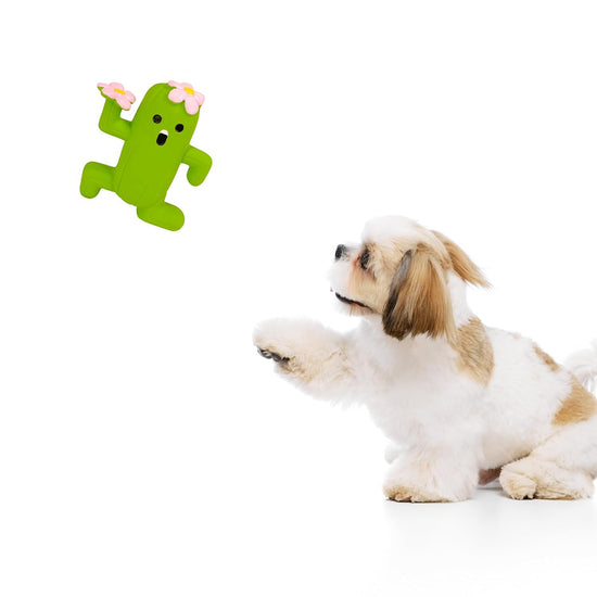 Squeeezys Latex Cactus Man Dog Toy - Green