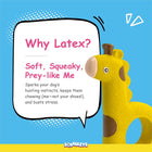 Yellow giraffe latex dog toy with squishy texture and pink text on blue background about squeaky, soft, prey-like qualities zigly