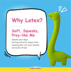 Zigly green latex dog toy shaped like a dinosaur with text about soft, squeaky, prey-like benefits