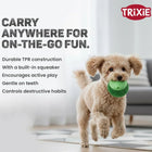 Trixie Pufferfish Dog Toy TPR - 12cm