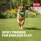 Trixie Pufferfish Dog Toy TPR - 12cm