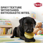 Trixie Hedgehog Dog Toy TPR - 12 cm