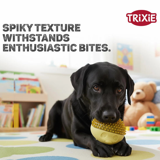 Trixie Hedgehog Dog Toy TPR - 12 cm