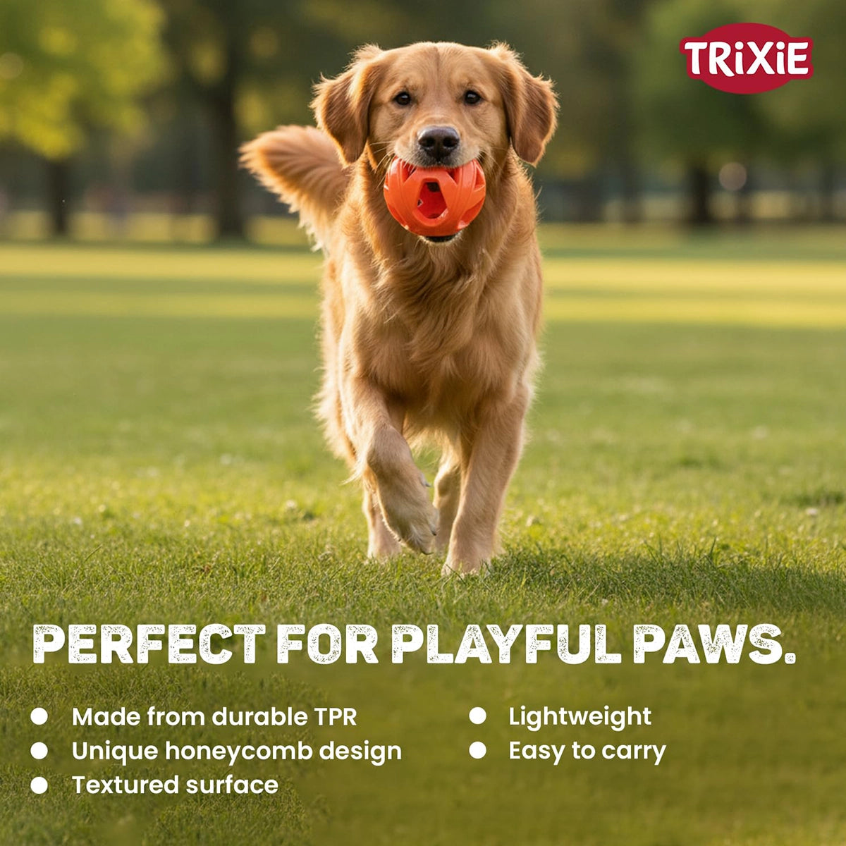 Trixie Honeycomb Ball Dog Toy Tpe  Dia 6cm Orange